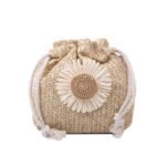 Street Style Woven Straw Crossbody Khaki Bag