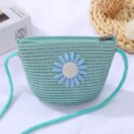 Mini Shell Woven Crossbody Blue Bag