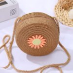 Mini Daisy Woven Crossbody browen Bag