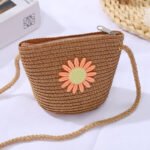 Mini Shell Woven Crossbody browen Bag