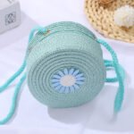 Mini Daisy Woven Crossbody Blue Bag